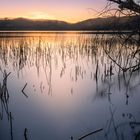 Sunset am Laacher See (2)