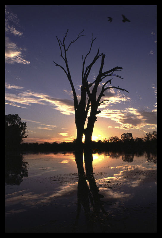 Sunset am Murray River