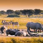 Sunset am Nashorn Wasserloch - Botswana