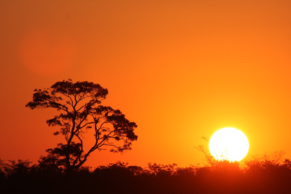 Sunset am Okavango