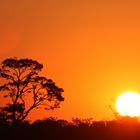 Sunset am Okavango