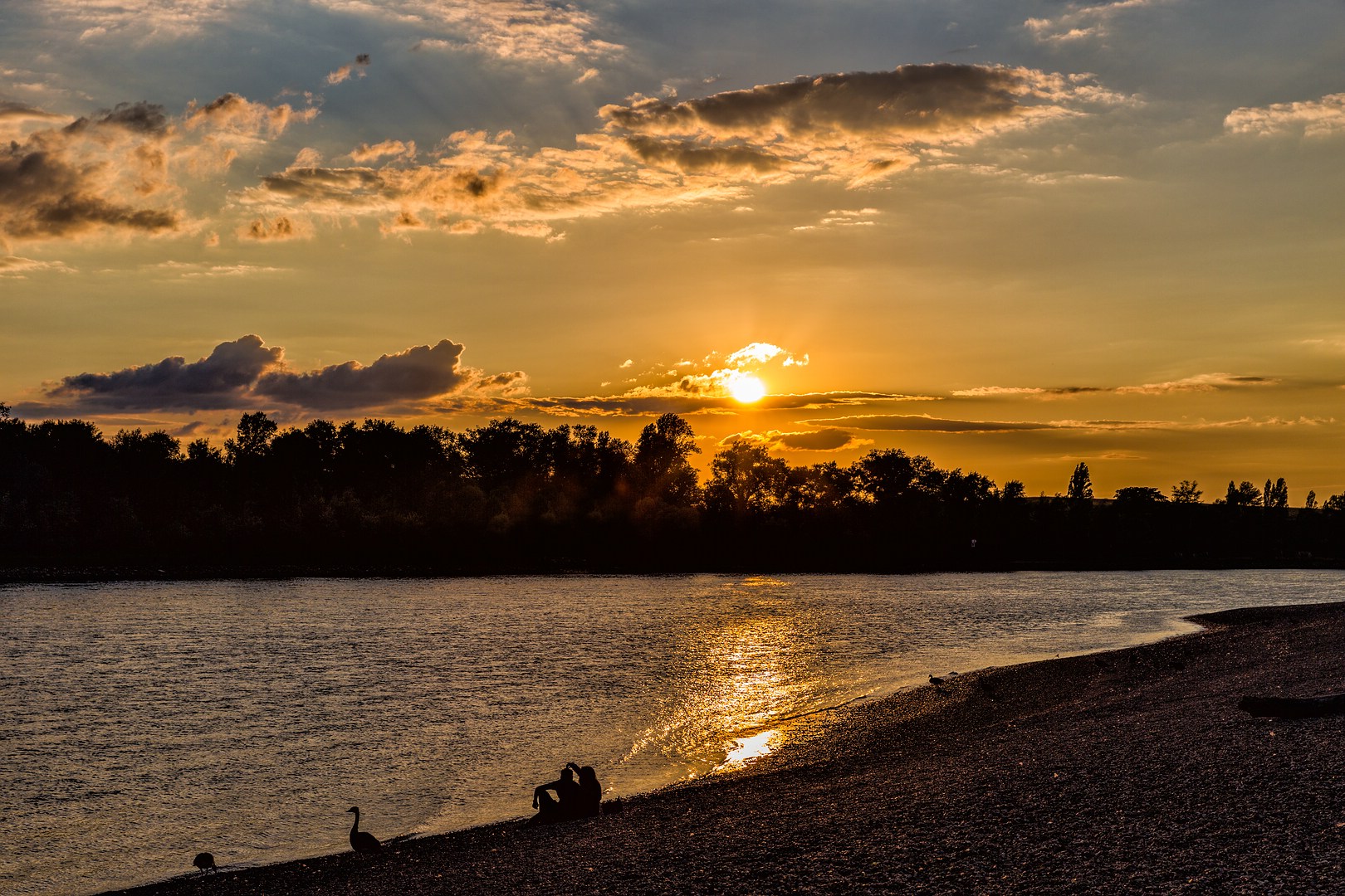 Sunset am Rhein