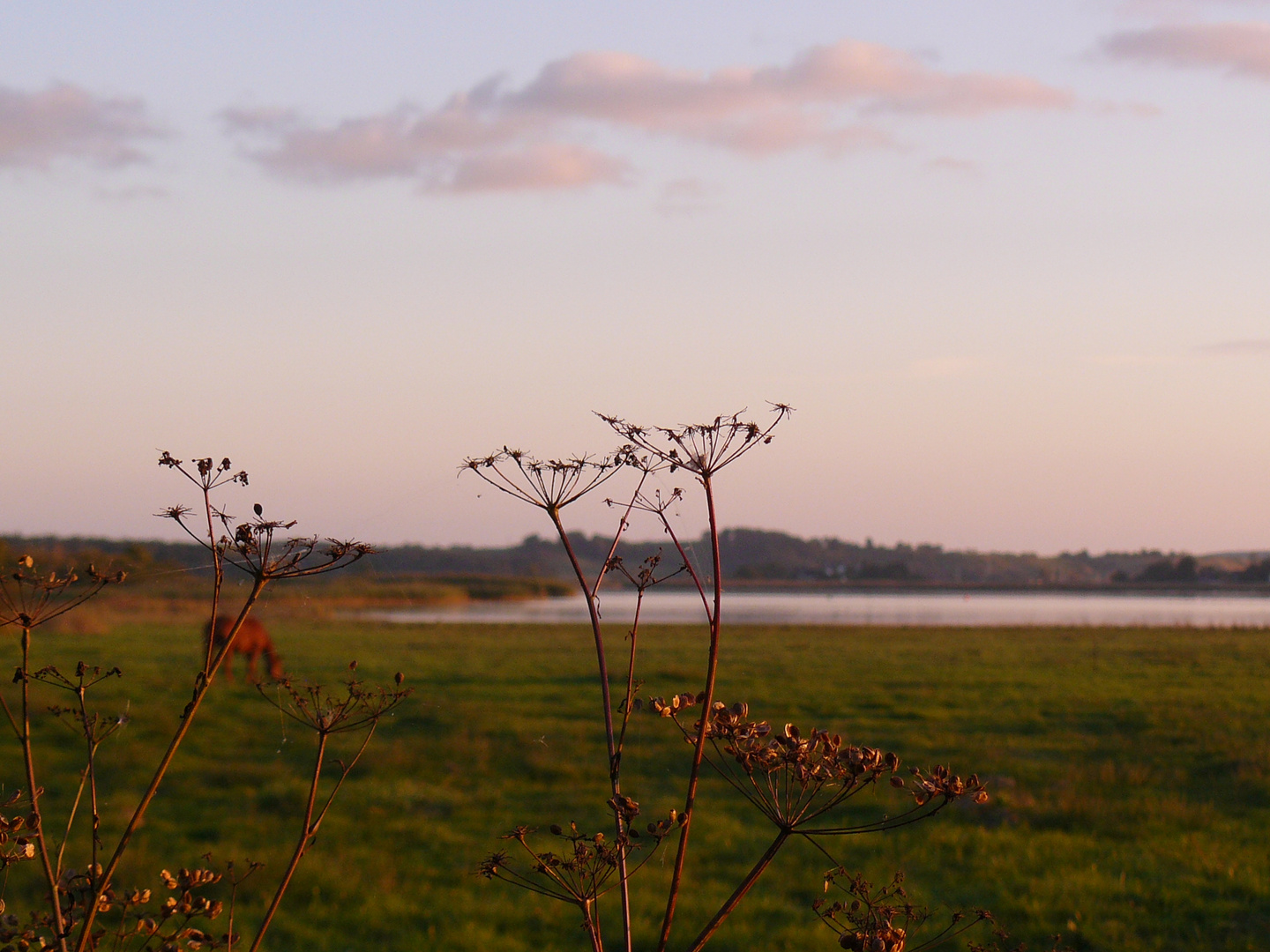 Sunset am See