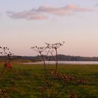 Sunset am See