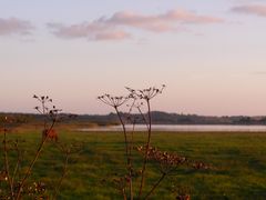 Sunset am See