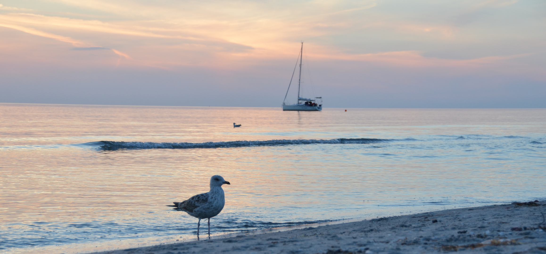 Sunset am Strand Hiddensee