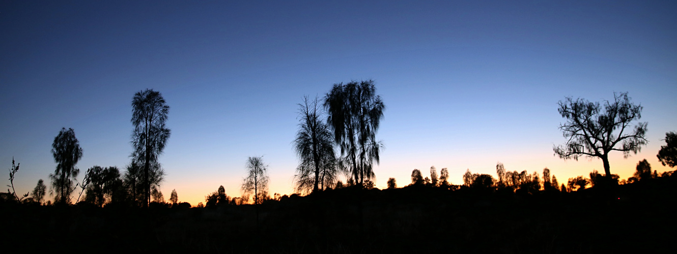 Sunset am Uluru ...