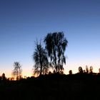 Sunset am Uluru ...