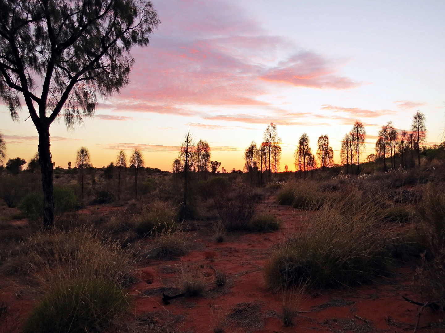 Sunset am Uluru ...