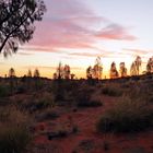 Sunset am Uluru ...