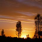 Sunset am Uluru (Ayers Rock), Australien