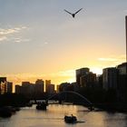 Sunset am Yarra River in Melbourne ...