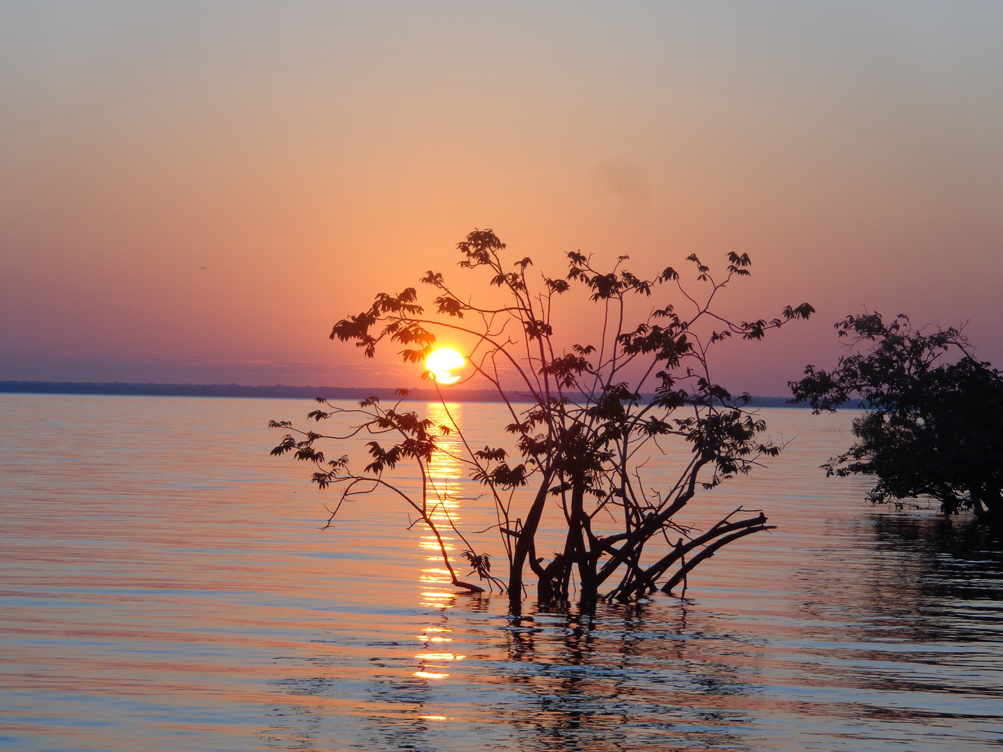 Sunset @ Amazonas