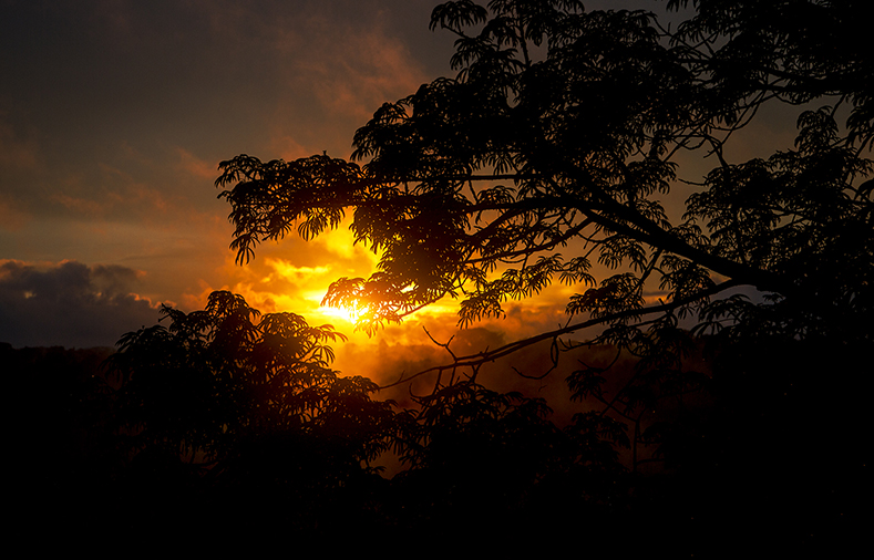 Sunset Amazonian jungle