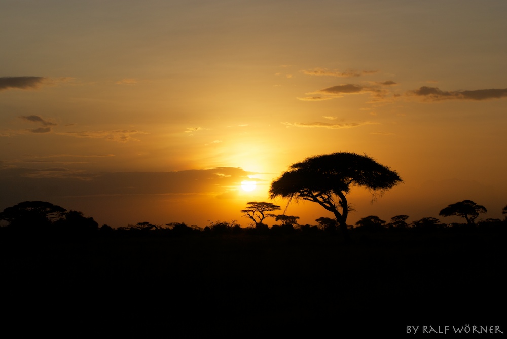 sunset @ amboseli