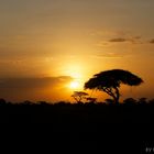 sunset @ amboseli