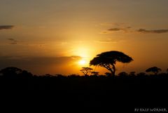 sunset @ amboseli