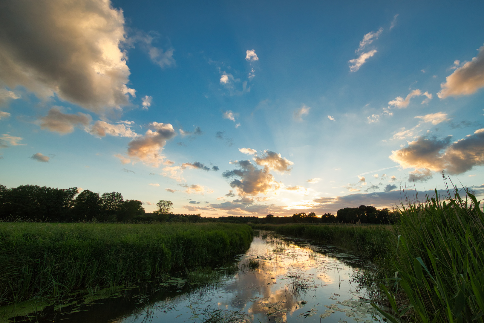 Sunset an der Aller