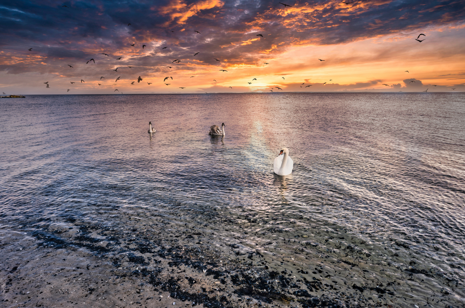 Sunset and Birds ...