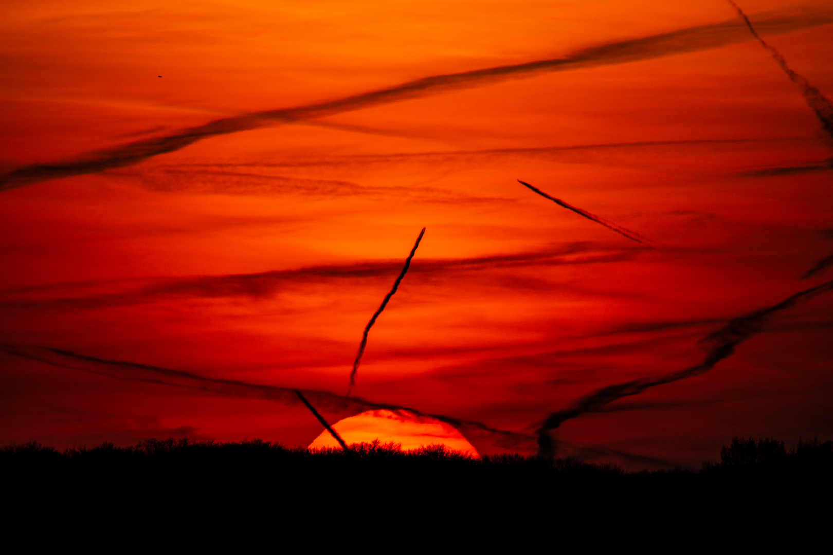 Sunset And Contrails