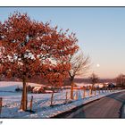 sunset and moonrising