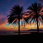 Sunset and Palms