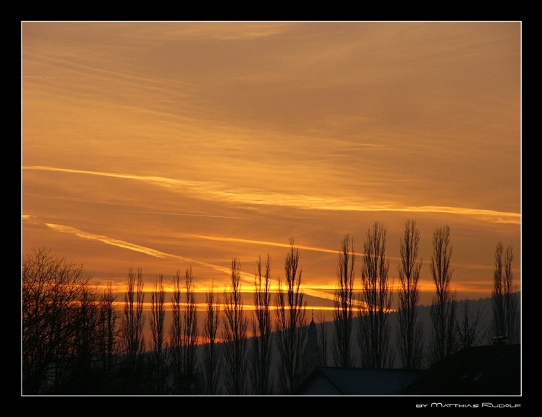 Sunset and trees