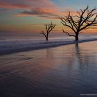 Sunset and trees