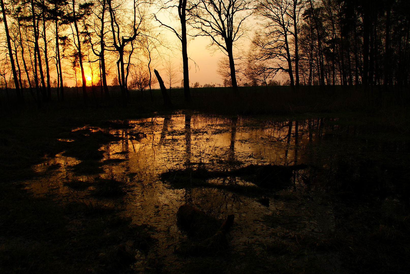 Sunset and Water