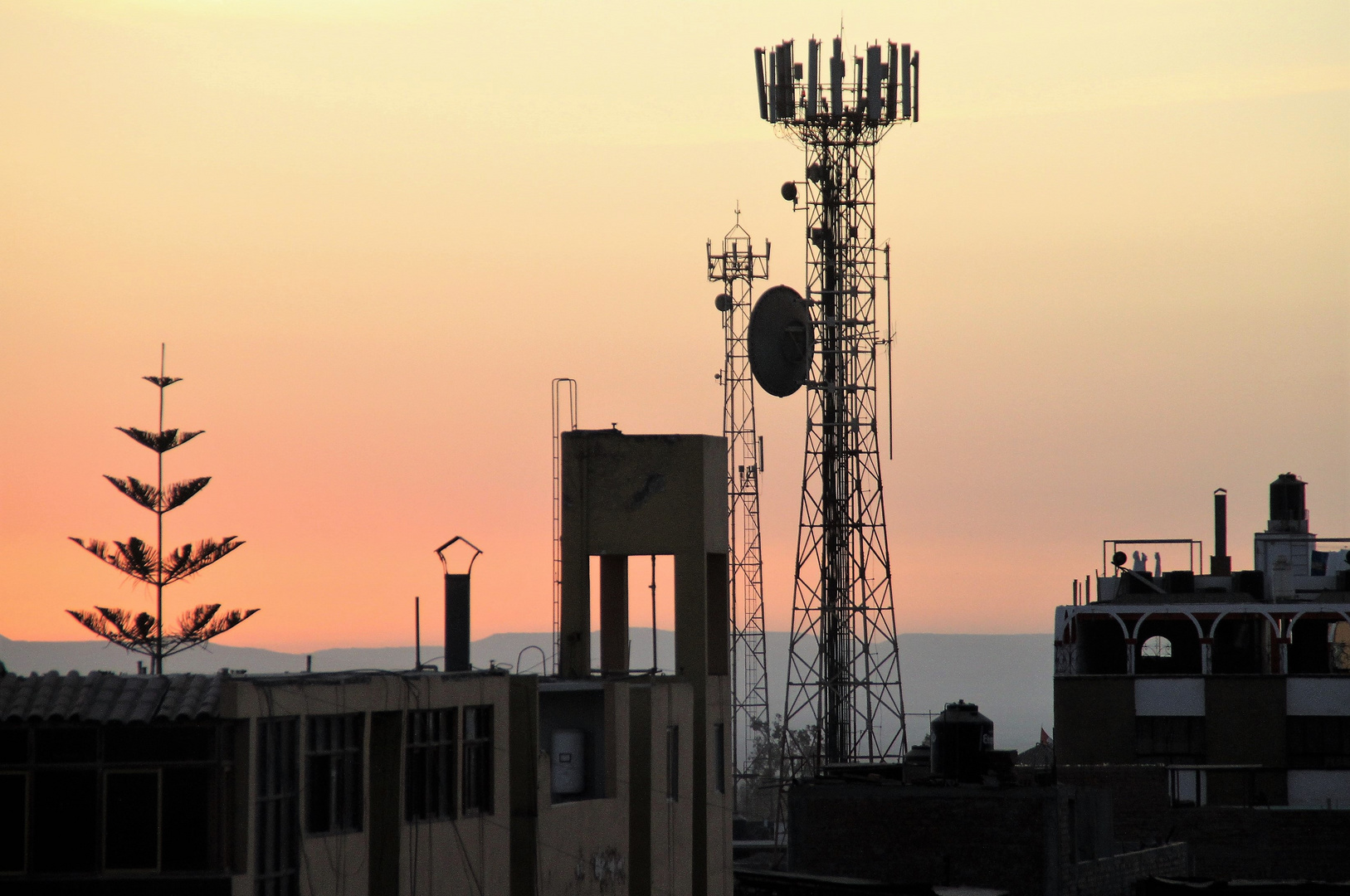 Sunset Antennen Baum Peru ca-21-22-col +Info neue Homepage