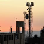 Sunset Antennen Baum Peru ca-21-22-col +Info neue Homepage