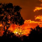 Sunset, Arnhem Highway, Wettlands, Northern Territory, Australia