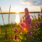 Sunset at a lake