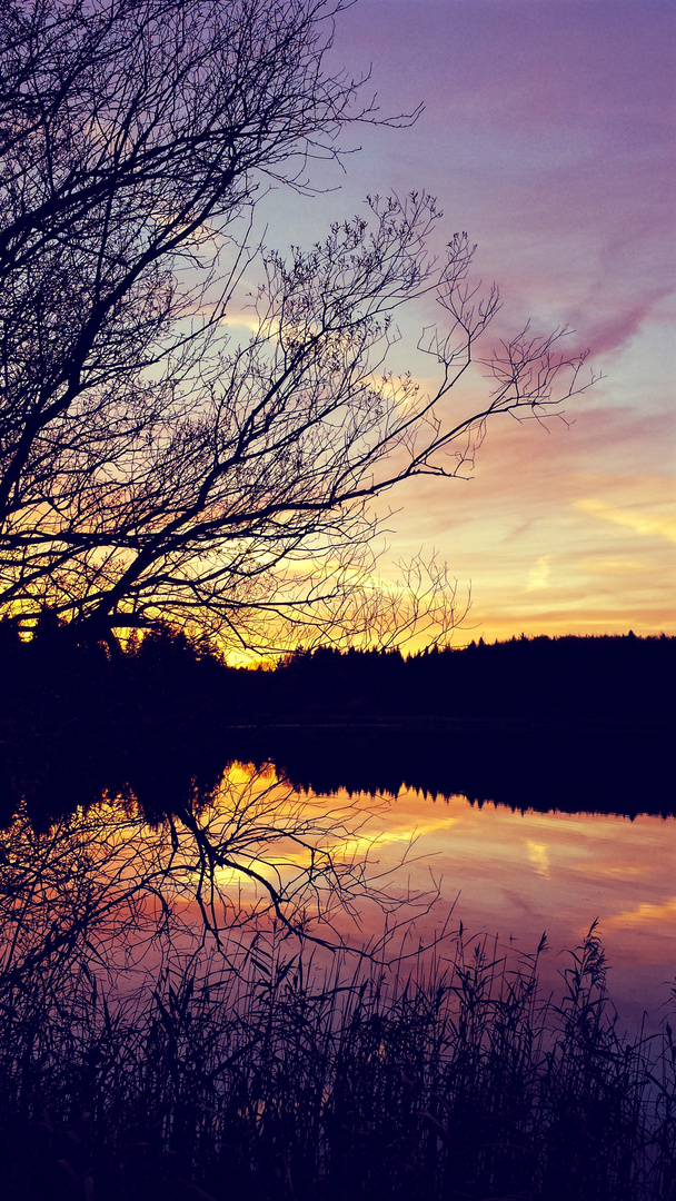 Sunset at a small lake