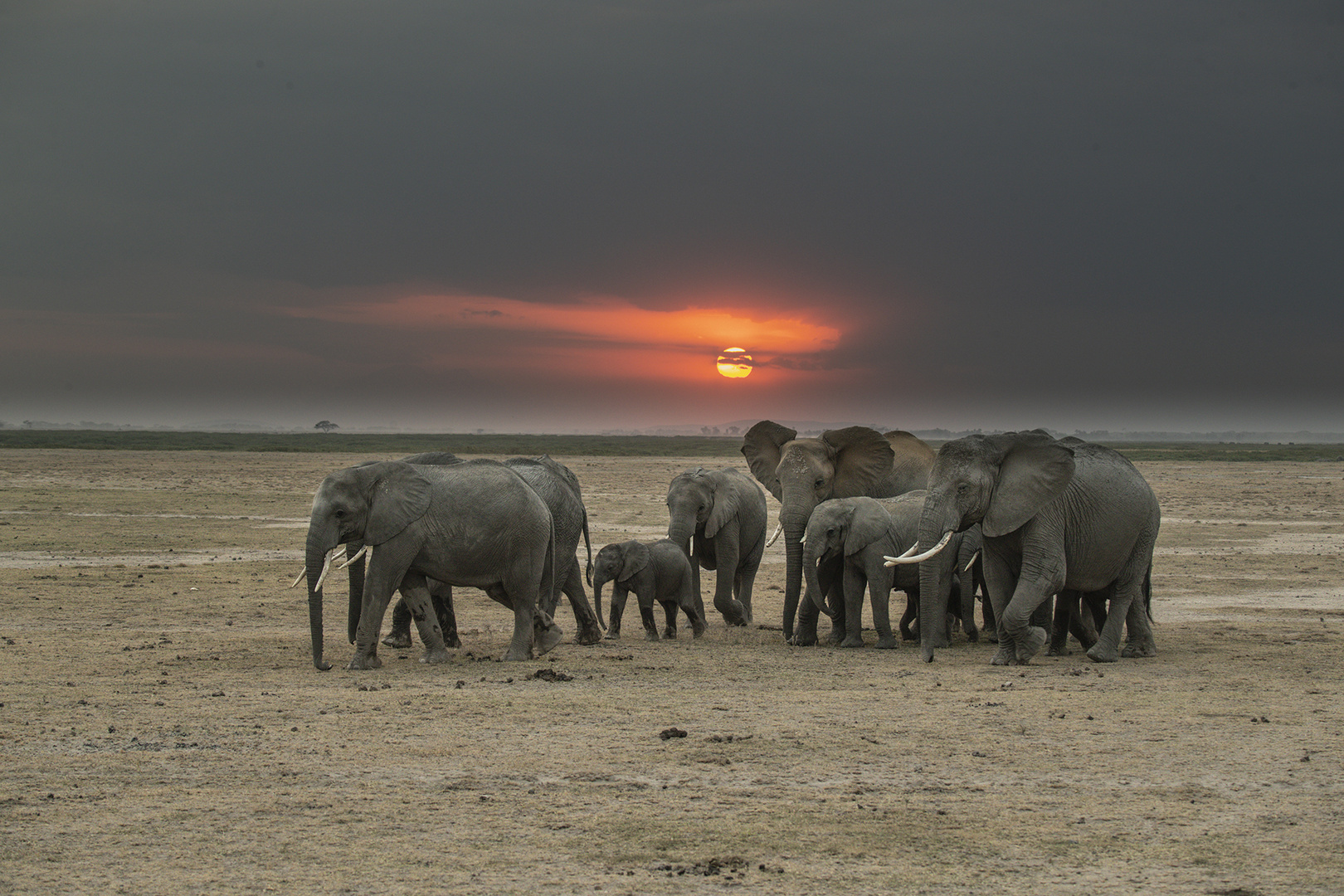 Sunset at Amboselli