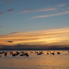 Sunset at Ayr Beach, Scotland