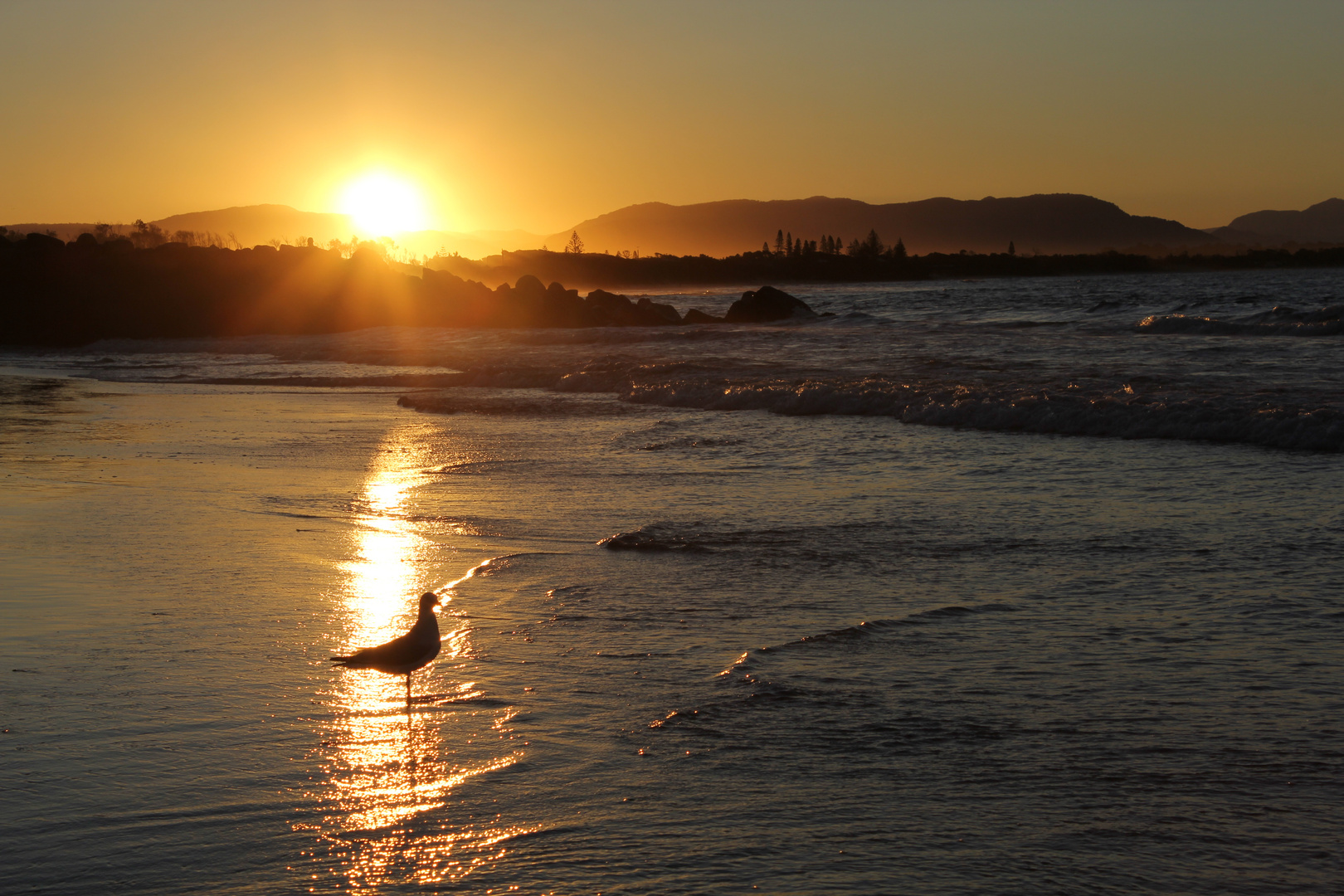 Sunset at Byron Bay