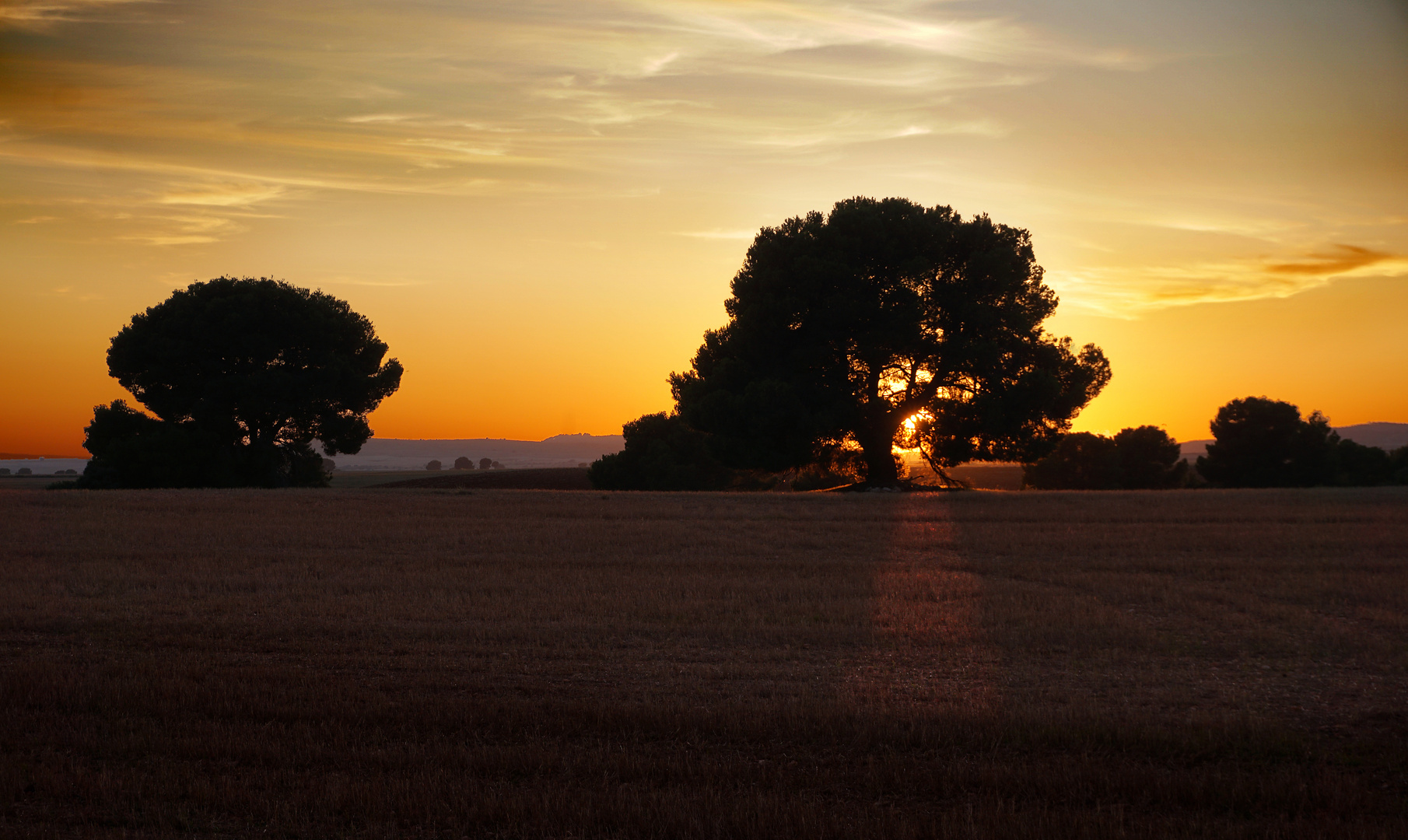 Sunset at ¨Castilla La Mancha¨