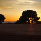 Sunset at ¨Castilla La Mancha¨