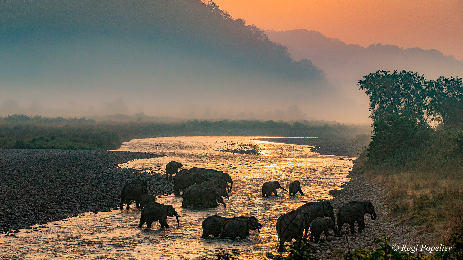 Sunset at Corbett NP - India