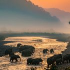 Sunset at Corbett NP - India