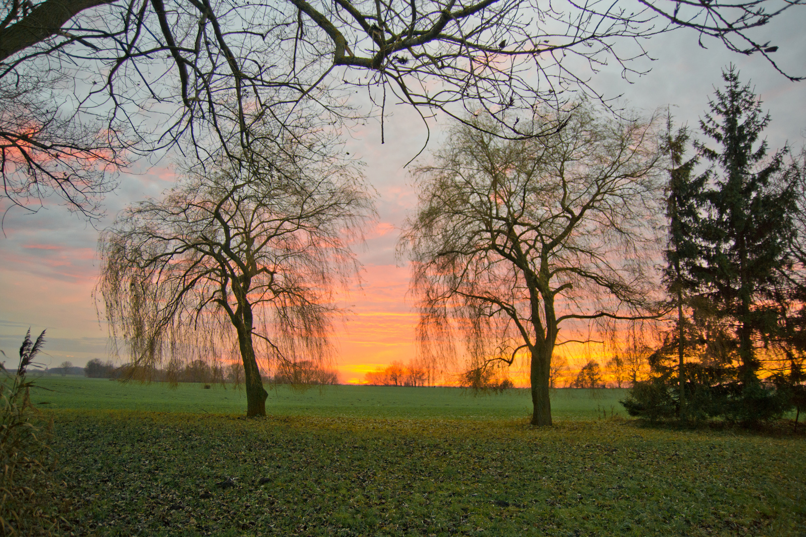 Sunset at Dorotheenhof III