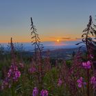 Sunset at Feldberg 