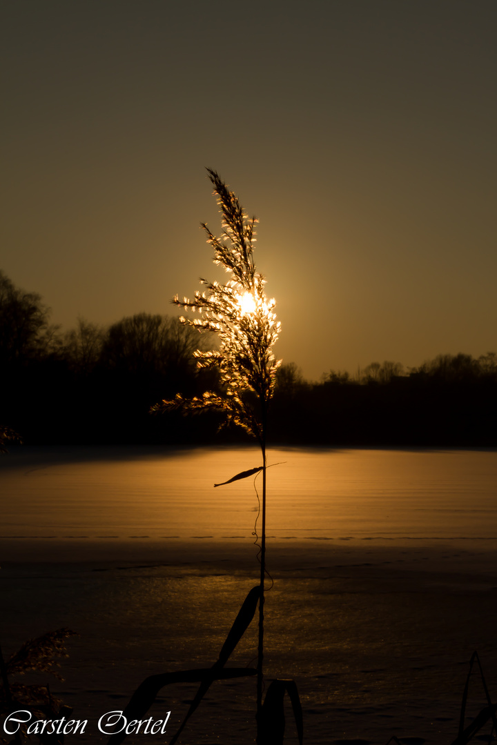 Sunset at Hamburg/Bramfeld