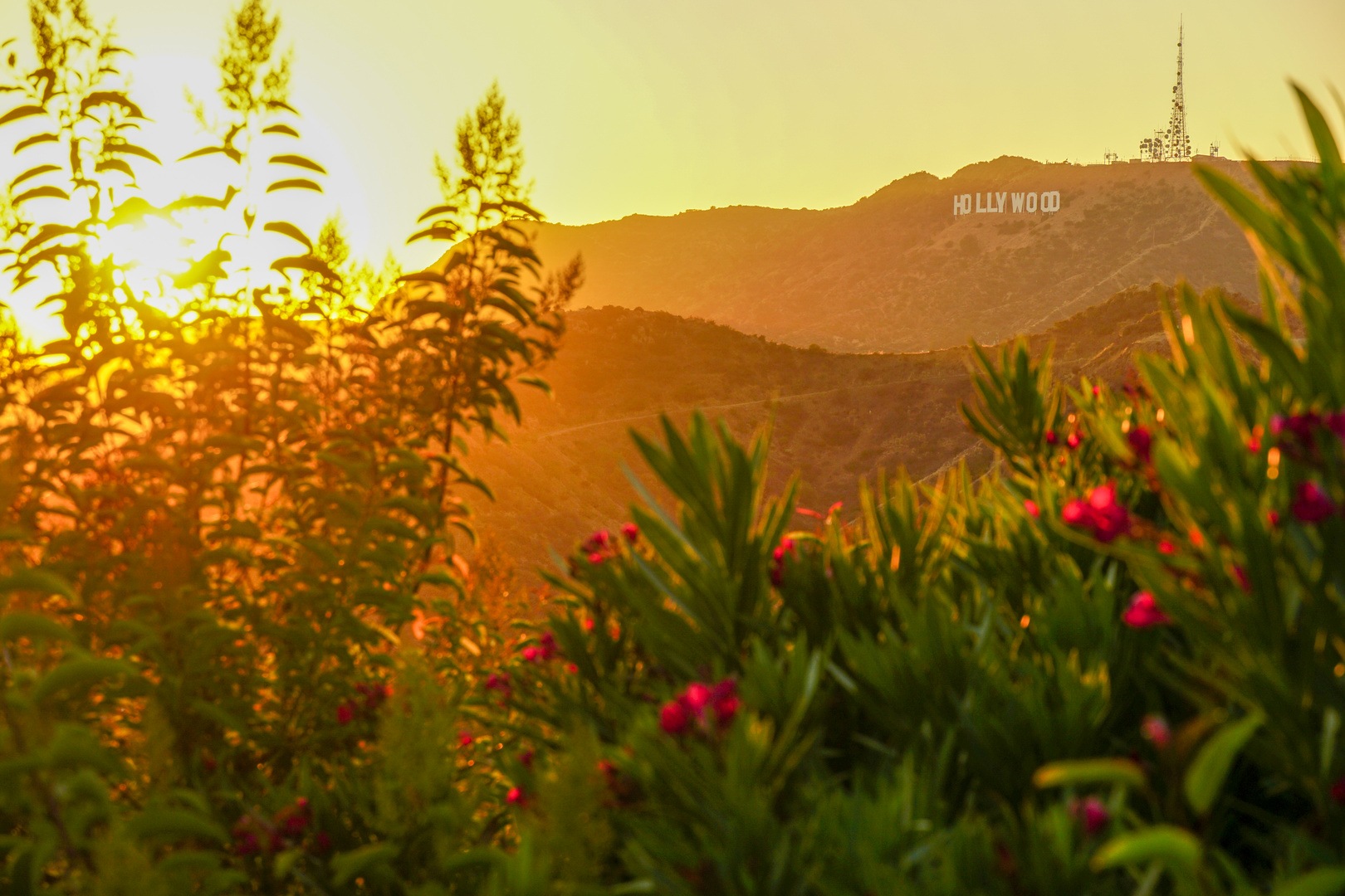 Sunset at Hollywood Hills