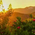 Sunset at Hollywood Hills