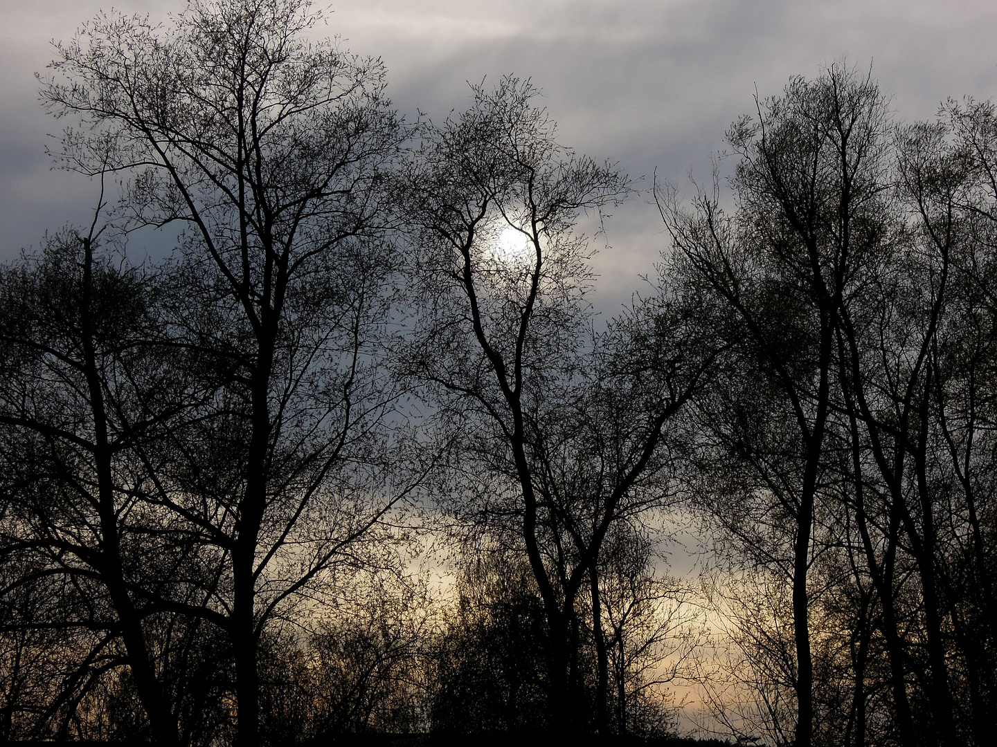 Sunset at Klingnauer Stausee