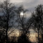 Sunset at Klingnauer Stausee