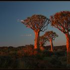 sunset at kockerboom's