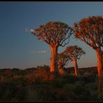 sunset at kockerboom's